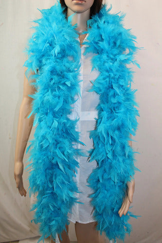 Plumas Decorativas Para Manualidades X500 Unidades