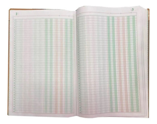 Libro De Contabilidad 3 Columnas 600 Folios 300 Hojas