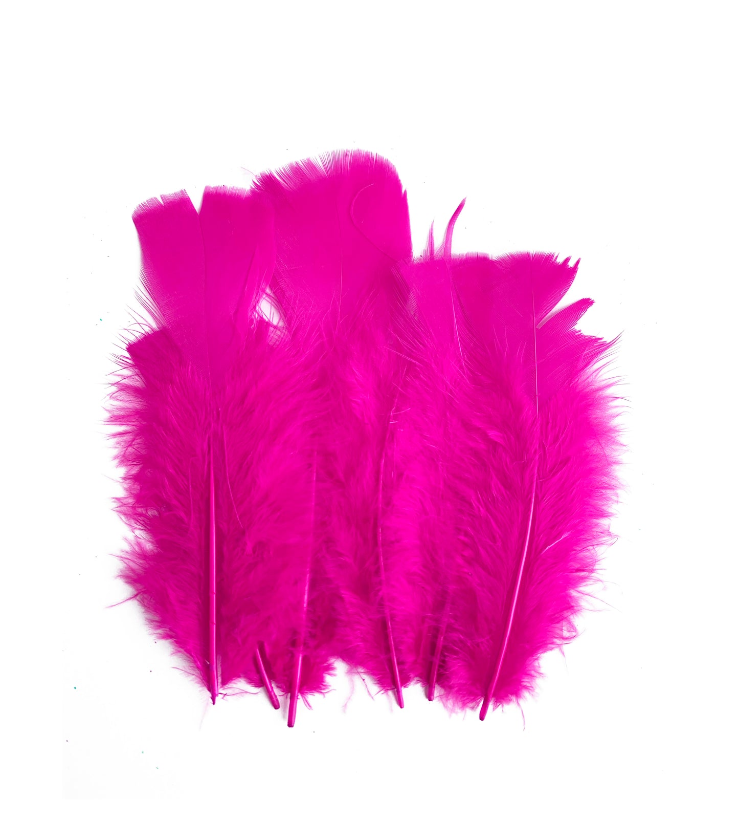 Plumas Para Decoración Paquete 50 Unidades