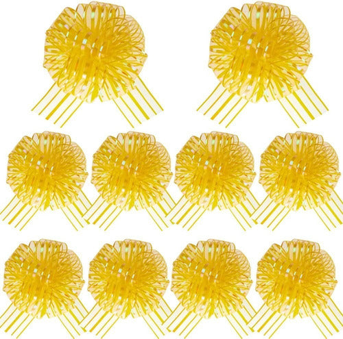 Moños Regalo Mágicos Pompom Organza X 5und Decoración