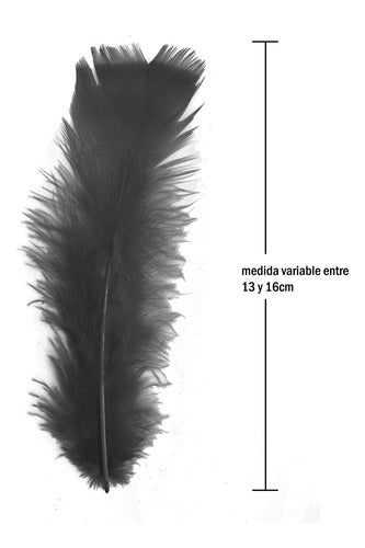 Plumas Decorativas Para Manualidades X500 Unidades