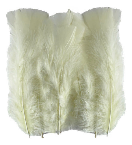 Plumas Para Decoración Paquete 50 Unidades Beige