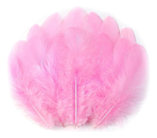 100 Plumas Decorativas Para Manualidades Disfraz