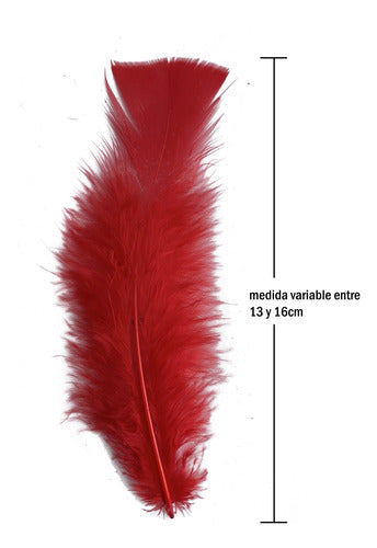 Plumas Decorativas Para Manualidades X500 Unidades
