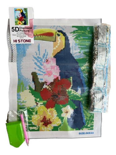 Kit Pintura De Diamantes 5d Tucan Para Bricolaje 40x30 Cm