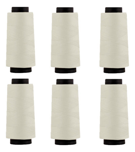 Hilo Importado Coser 100% Poliester 2000 Yardas  X 6 Unid