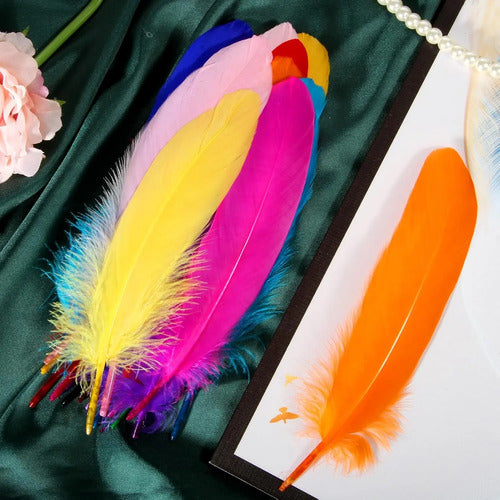 100 Plumas Decorativas Para Manualidades Disfraz