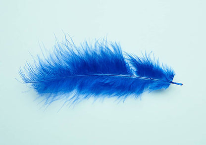 Plumas Decorativas Para Manualidades X500 Unidades