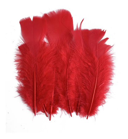 Plumas Decorativas Para Manualidades X500 Unidades