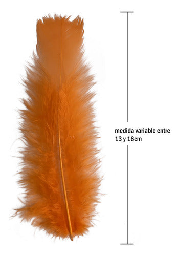 Plumas Decorativas Para Manualidades X500 Unidades