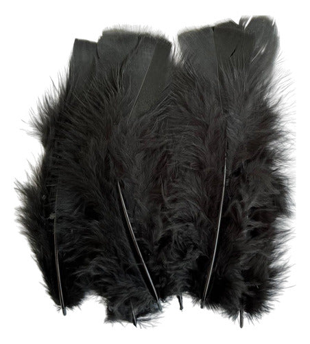 Plumas Decorativas Para Manualidades X500 Unidades