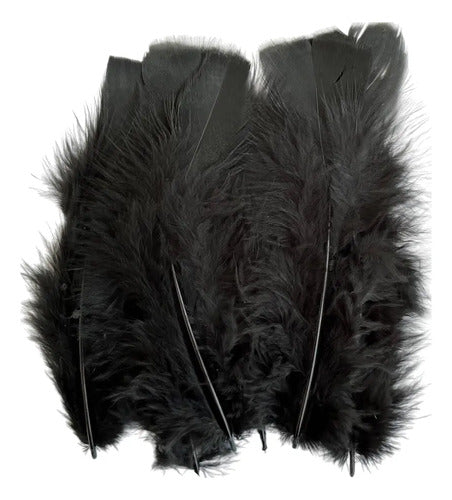 100 Plumas Decorativas Para Manualidades Disfraz