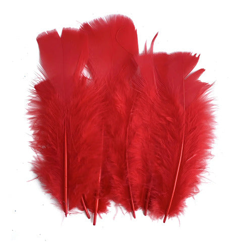 100 Plumas Decorativas Para Manualidades Disfraz Rojo