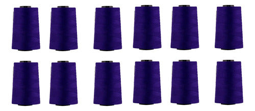 Hilo Importado Coser 100% Poliester 5000 Yardas  X 12 Unid
