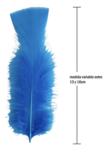Plumas Decorativas Para Manualidades X500 Unidades