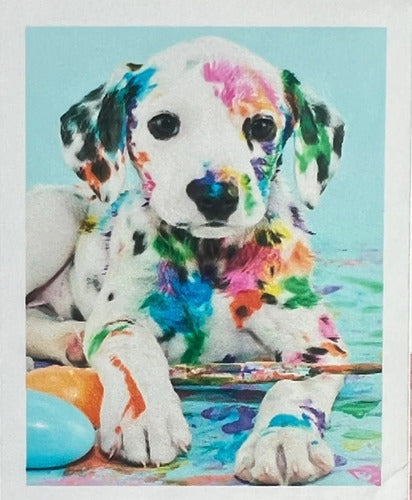 Kit Pintura De Diamantes 5d Dalmata Para Bricolaje 40x30 Cm