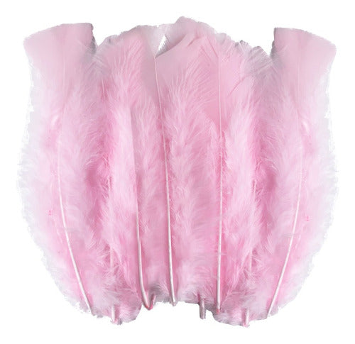 Plumas Para Decoración Paquete 50 Unidades Rosa
