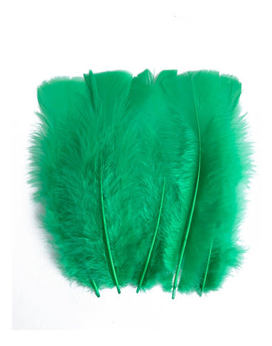 Plumas Para Decoración Paquete 50 Unidades Verde