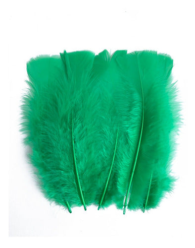 Plumas Para Decoración Colores Paquetes X50 Unidades Verde