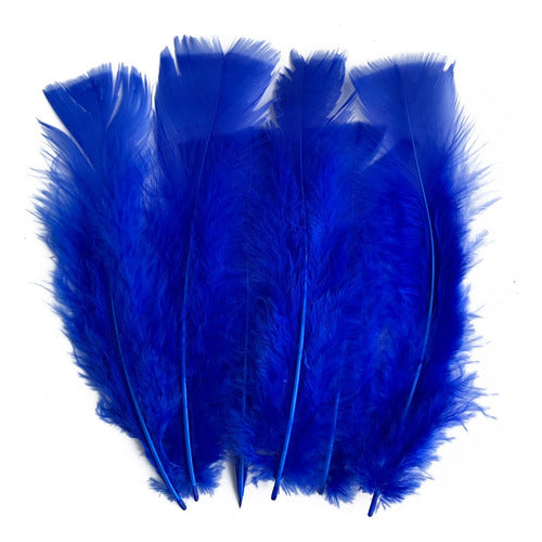 Plumas Para Decoración Paquete 50 Unidades Azul