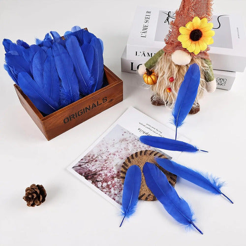 100 Plumas Decorativas Para Manualidades Disfraz