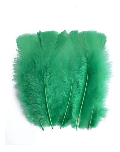 100 Plumas Decorativas Para Manualidades Disfraz Verde