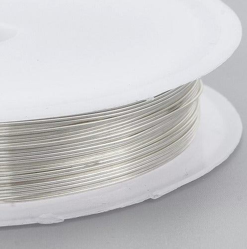 Rollo Alambre Acero Color Plata 50 Metros De Cal 0.3mm 10und