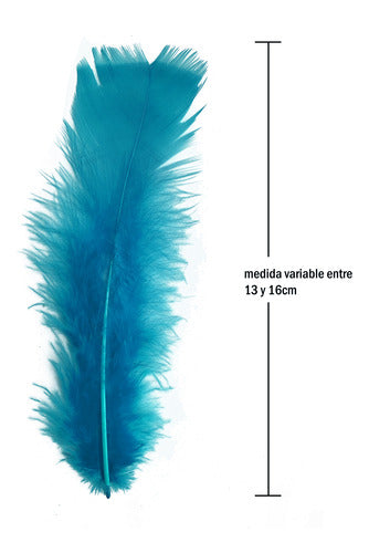 Plumas Decorativas Para Manualidades X500 Unidades