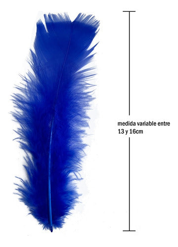 Plumas Para Decoración Paquete 50 Unidades