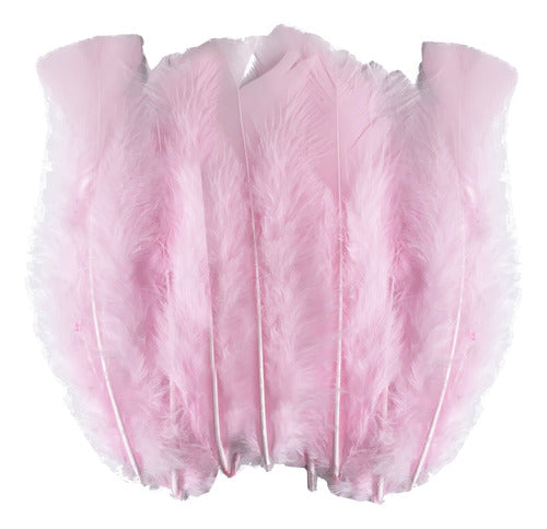 Plumas Decorativas Para Manualidades X500 Unidades
