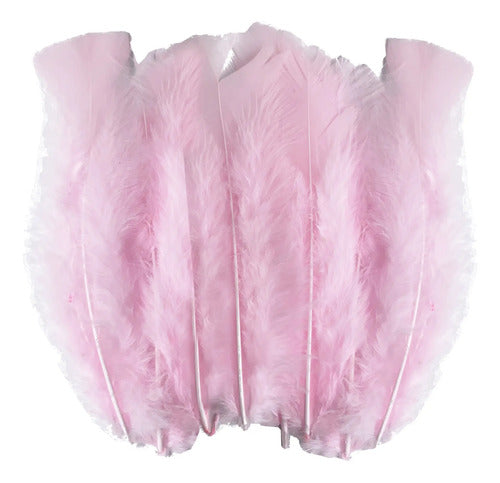 100 Plumas Decorativas Para Manualidades Disfraz Rosa