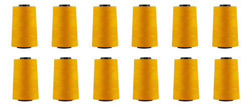 Hilo Importado Coser 100% Poliester 5000 Yardas  X 12 Unid