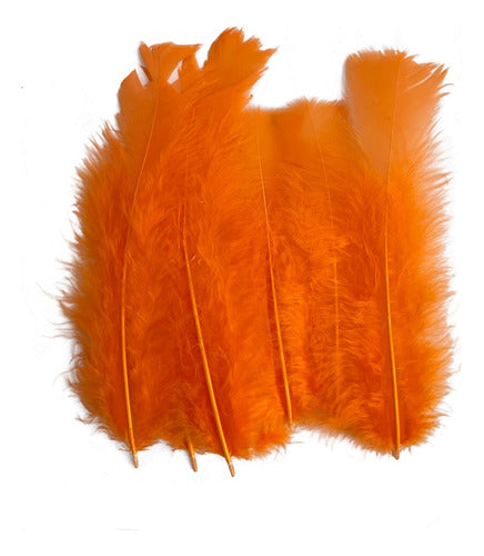 Plumas Para Decoración Paquete 50 Unidades Naranja