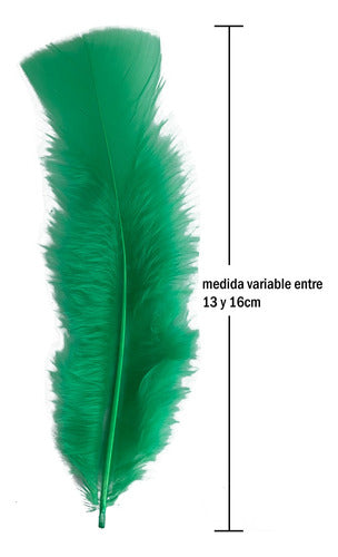 Plumas Para Decoración Paquete 50 Unidades