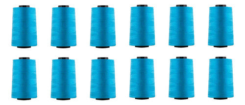 Hilo Importado Coser 100% Poliester 5000 Yardas  X 12 Unid