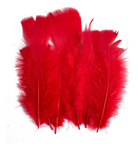 Plumas Para Decoración Paquete 50 Unidades Rojo