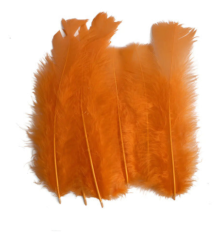 100 Plumas Decorativas Para Manualidades Disfraz Naranja