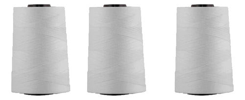 Hilo Importado Coser 100% Poliester 10000 Yardas X 3 Unid Blanco