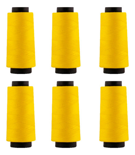 Hilo Importado Coser 100% Poliester 2000 Yardas  X 6 Unid