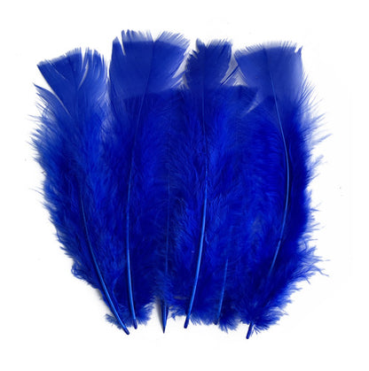Plumas Decorativas Para Manualidades X500 Unidades