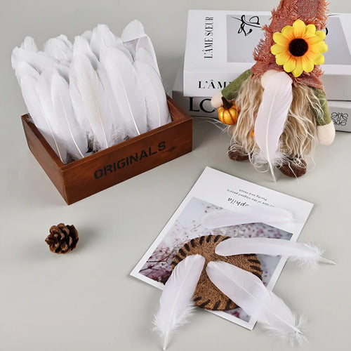 100 Plumas Decorativas Para Manualidades Disfraz Blanco