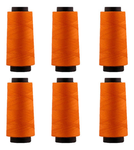 Hilo Importado Coser 100% Poliester 2000 Yardas  X 6 Unid
