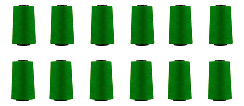 Hilo Importado Coser 100% Poliester 5000 Yardas  X 12 Unid