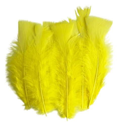 Plumas Decorativas Para Manualidades X500 Unidades
