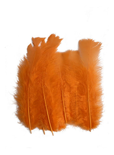 Plumas Decorativas Para Manualidades X500 Unidades Naranja