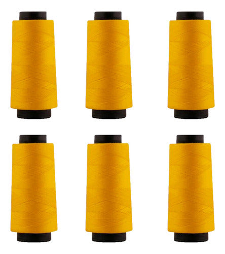 Hilo Importado Coser 100% Poliester 2000 Yardas  X 6 Unid