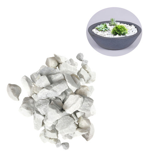Piedras Naturales Decorativas Para Plantas Y Jardines 500gr Blanco 3 cm 3 cm