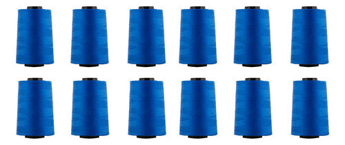 Hilo Importado Coser 100% Poliester 5000 Yardas  X 12 Unid
