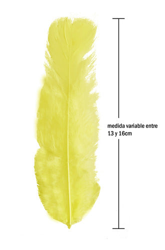 Plumas Decorativas Para Manualidades X500 Unidades