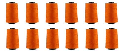 Hilo Importado Coser 100% Poliester 5000 Yardas  X 12 Unid